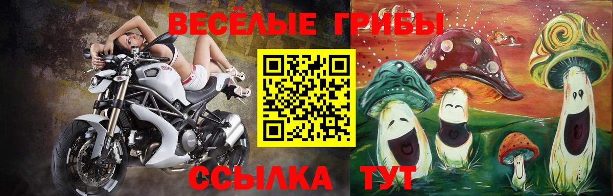Псилоцибиновые грибы мухоморы  где продают   Можайск  Галлюциногенные грибы GOLDEN TEACHER  Вход с VPN 