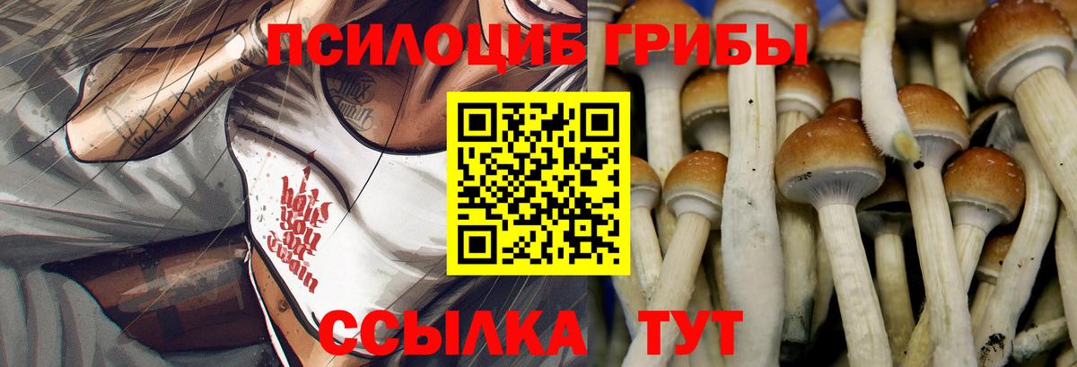 Галлюциногенные грибы Cubensis Можайск